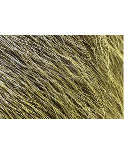 BUCKTAIL OLIVE